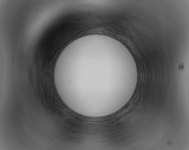 X0000101470762200807071219