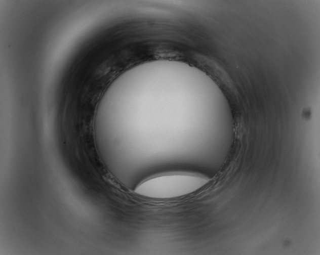 X0000101470763200807071219