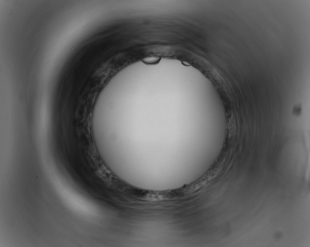 X0000101470764200807071219