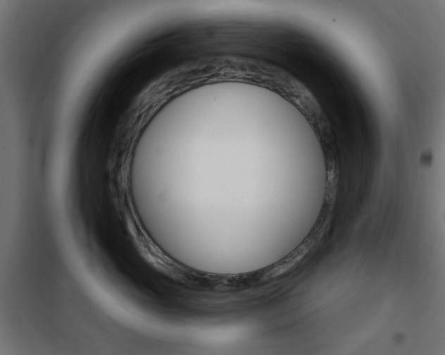 X0000101470765200807071219