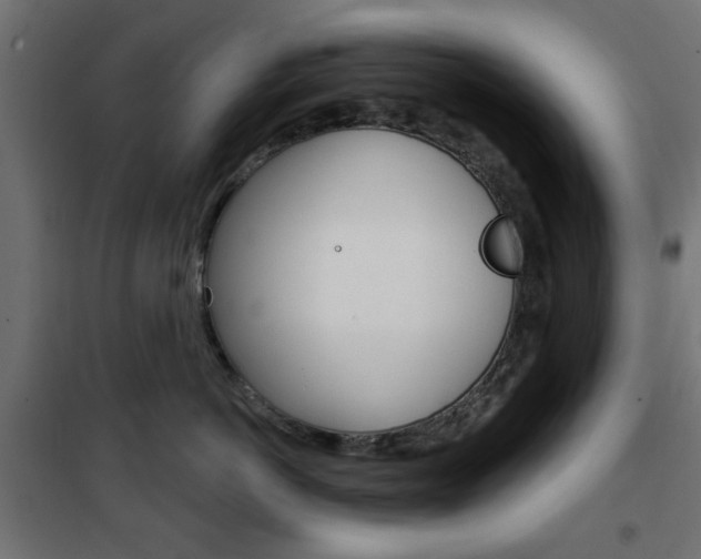 X0000101470766200807071219