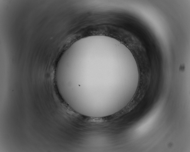 X0000101470767200807071219