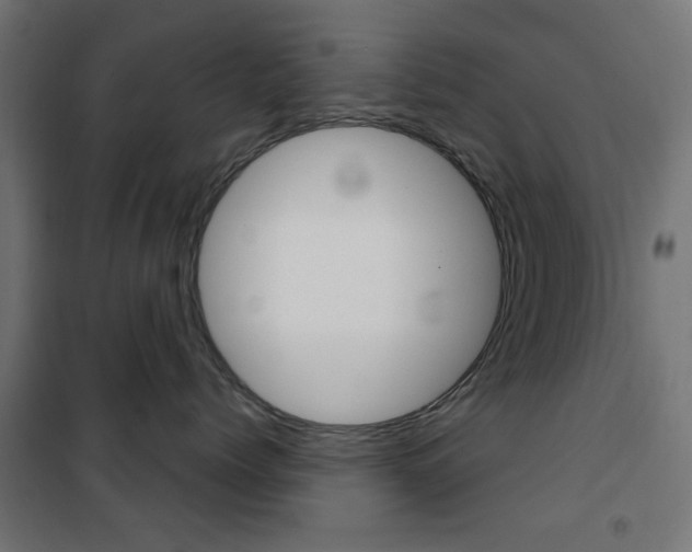 X0000101470768200807071219