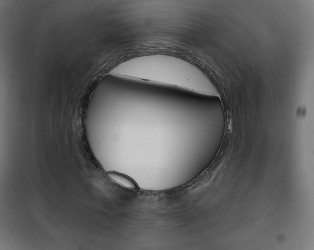 X0000101470771200807071218