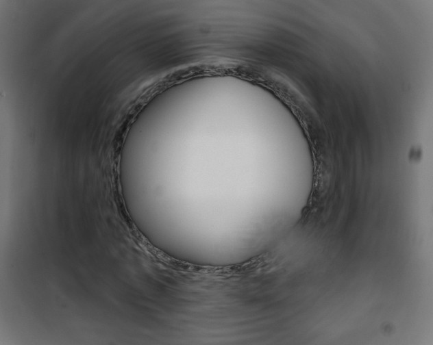 X0000101470773200807071218