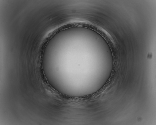 X0000101470775200807071218