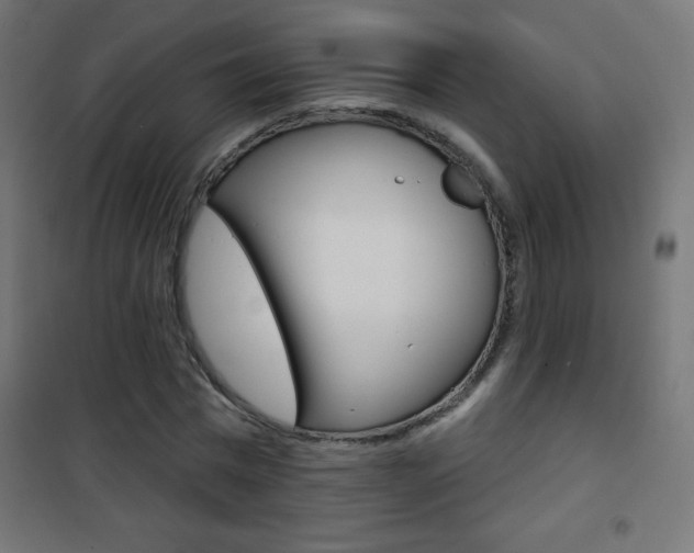 X0000101470777200807071218