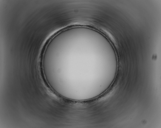 X0000101470779200807071218
