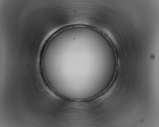 X0000101470780200807071218