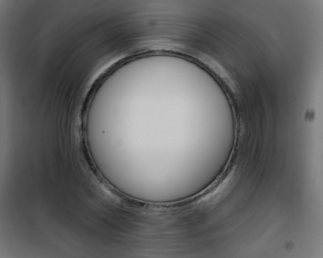 X0000101470782200807071218