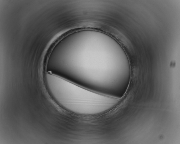 X0000101470784200807071218