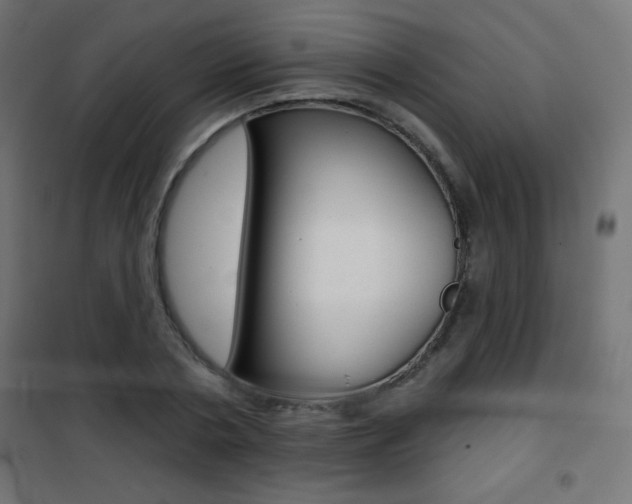 X0000101470786200807071218