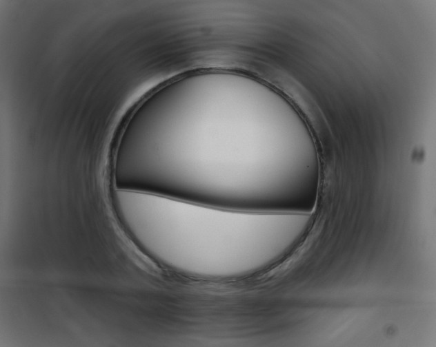 X0000101470787200807071218