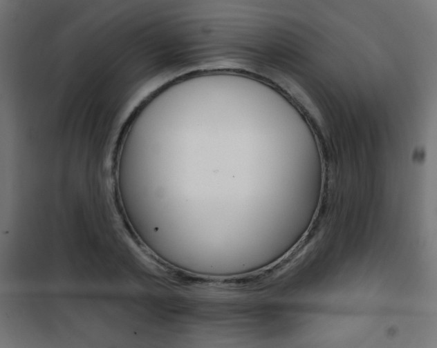 X0000101470789200807071218