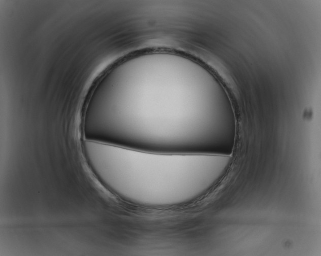 X0000101470791200807071218