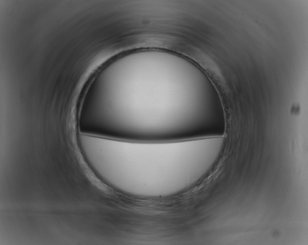 X0000101470792200807071218
