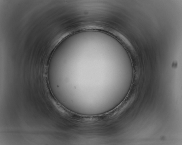 X0000101470793200807071218