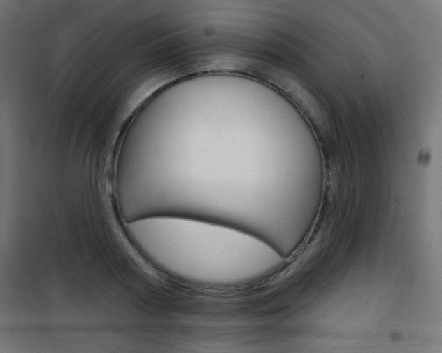 X0000101470794200807071218