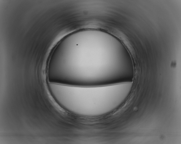 X0000101470795200807071218