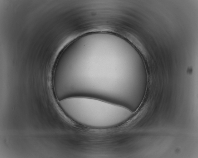 X0000101470797200807071217