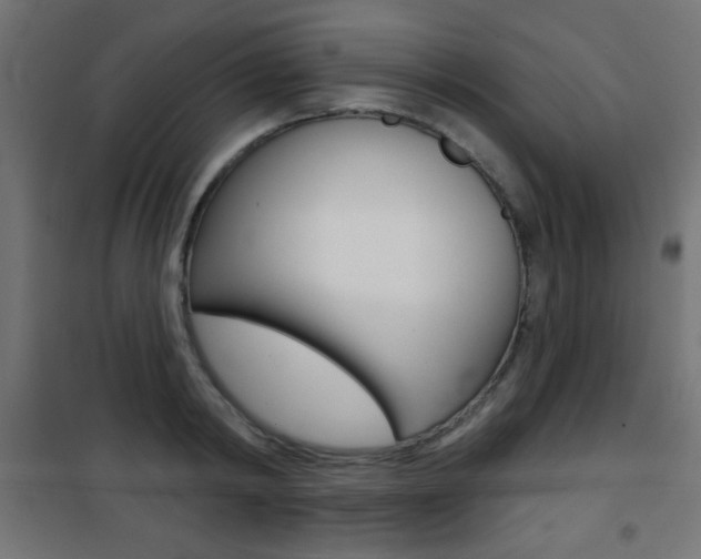 X0000101470798200807071217
