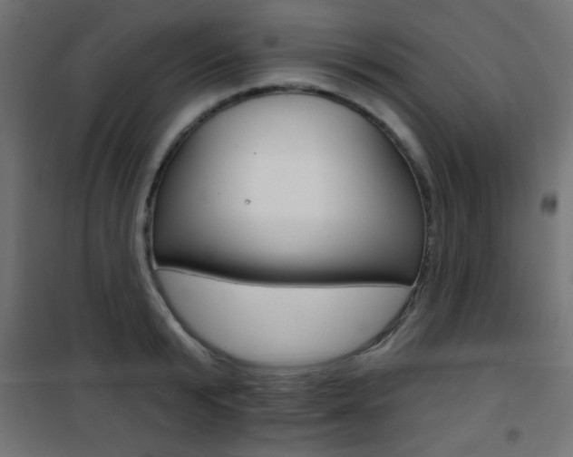 X0000101470799200807071217
