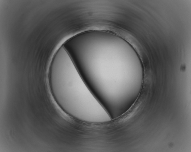 X0000101470803200807071217