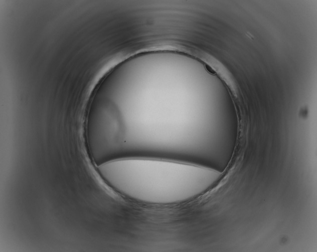 X0000101470805200807071217
