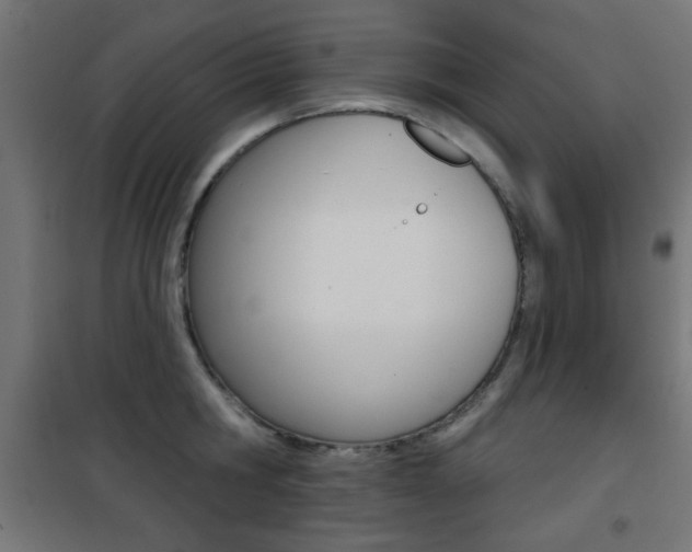X0000101470806200807071217
