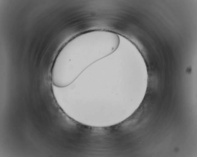 X0000101470807200807071217