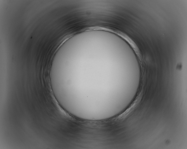 X0000101470809200807071217