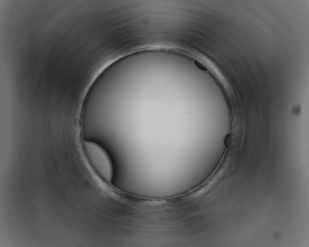 X0000101470810200807071217