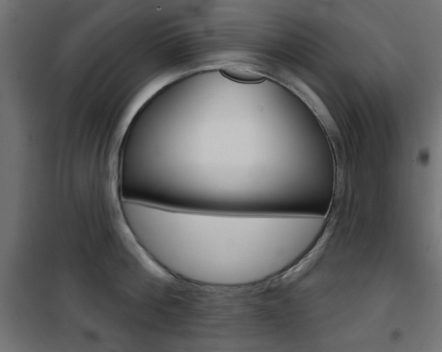X0000101470812200807071217