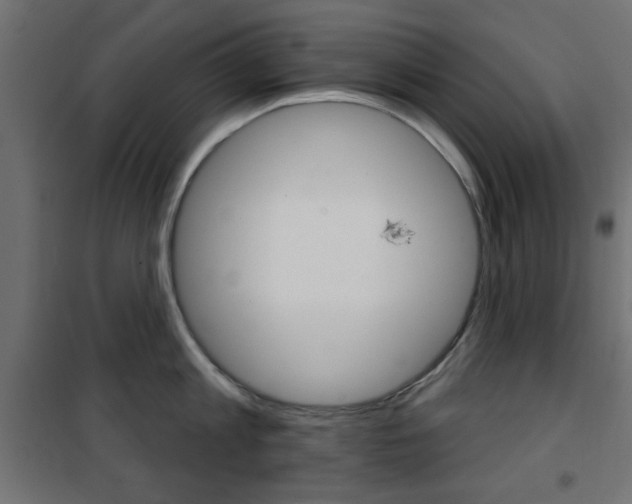 X0000101470813200807071217