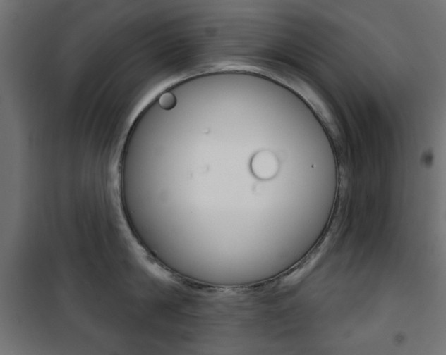 X0000101470814200807071217
