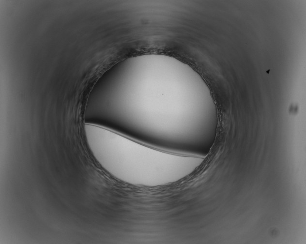 X0000101470818200807071217