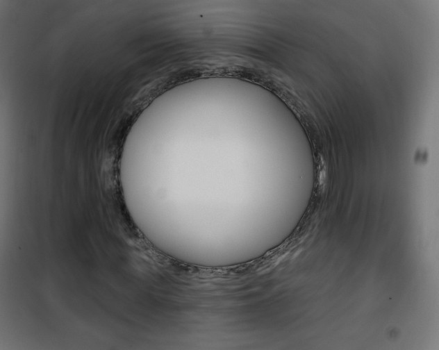 X0000101470819200807071217