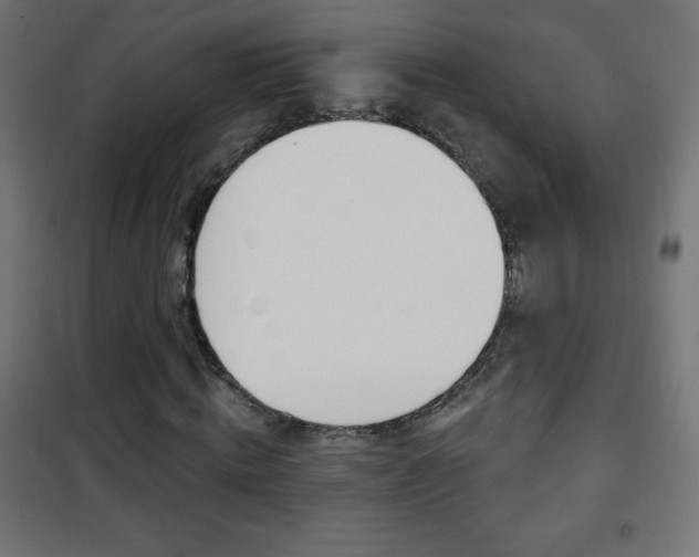 X0000101470820200807071217