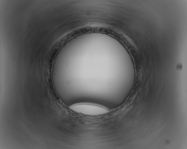 X0000101470821200807071217