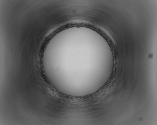 X0000101470823200807071217