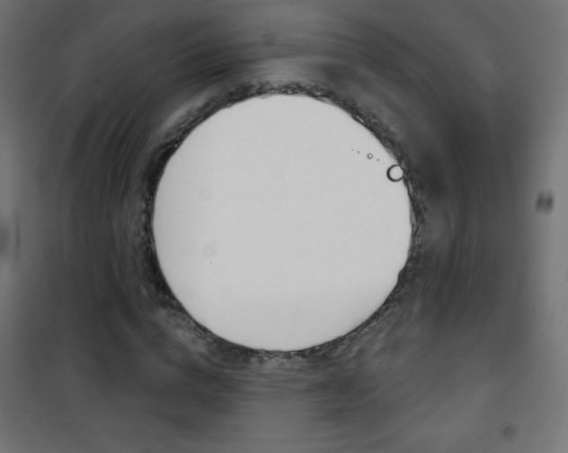 X0000101470824200807071217