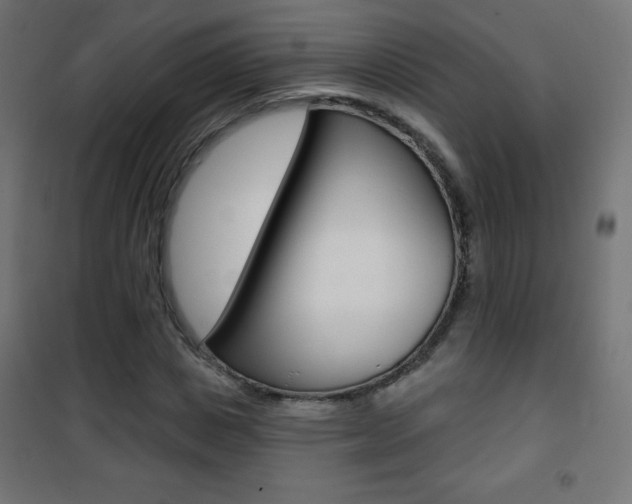 X0000101470825200807071217