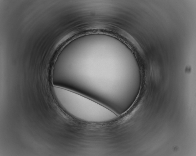 X0000101470826200807071217