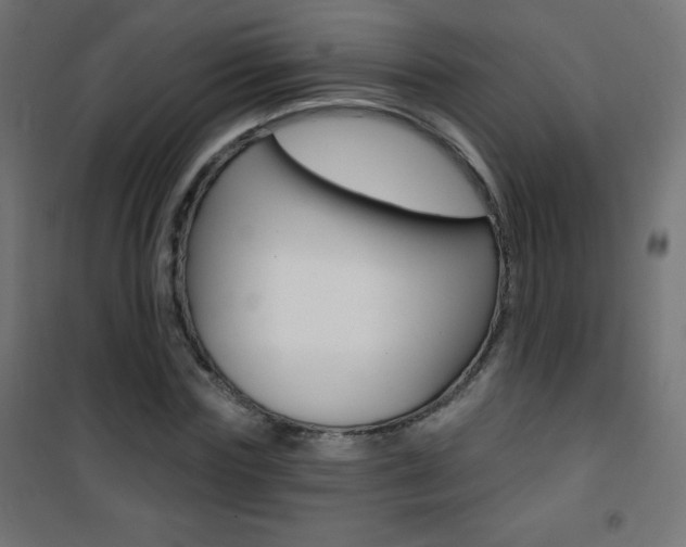 X0000101470827200807071217