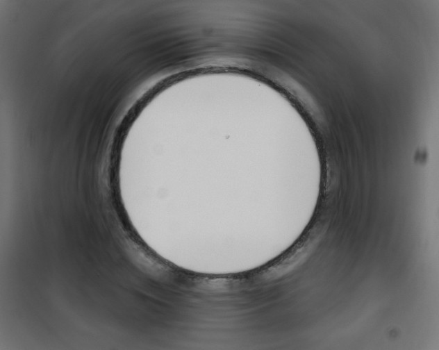 X0000101470828200807071217