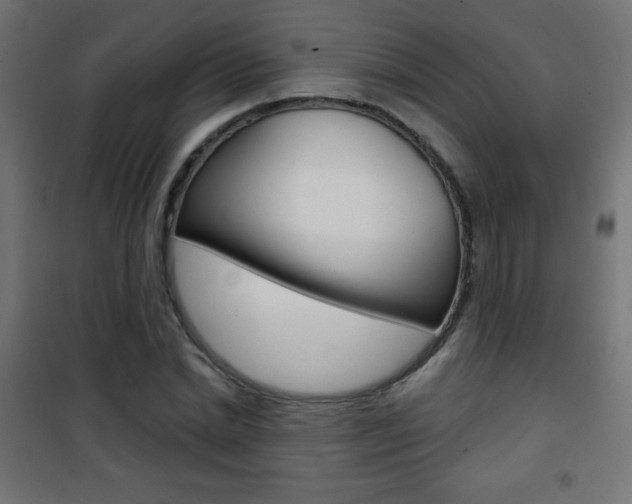 X0000101470830200807071217