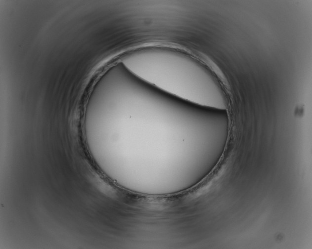 X0000101470831200807071217