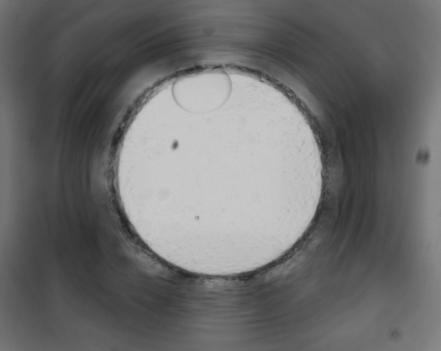 X0000101470832200807071217