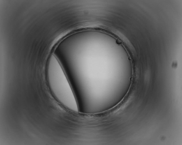 X0000101470834200807071217