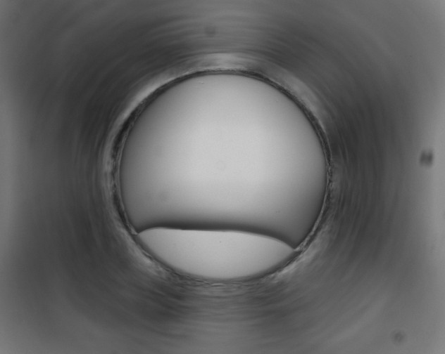 X0000101470835200807071217